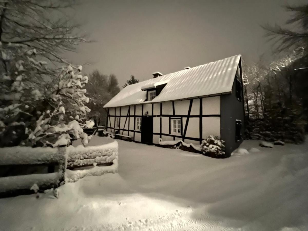 Eifelhaus Paula Βίλα Μονσάου Εξωτερικό φωτογραφία